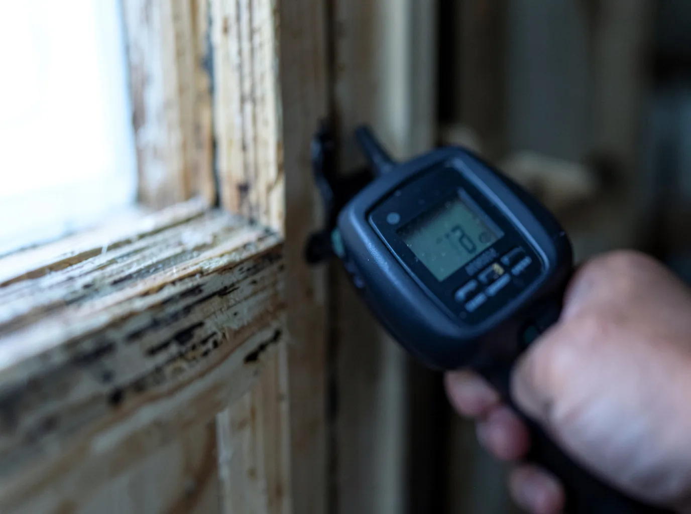 Water Damage Restoration Anderson, AL FAQs